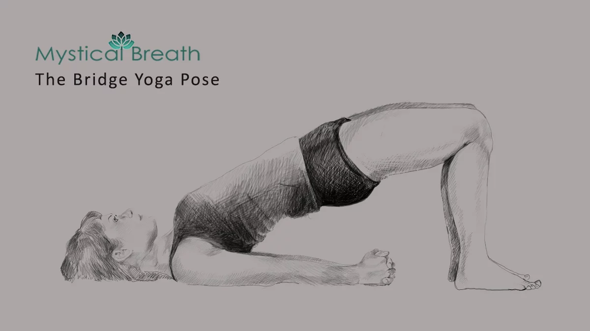The bridge Yoga Pose