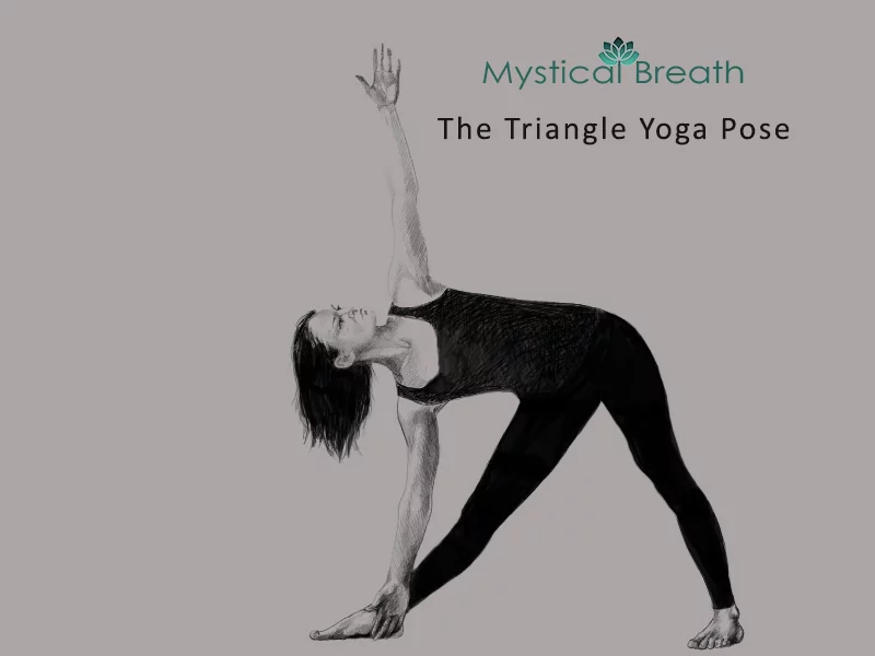 the triangle yoga pose